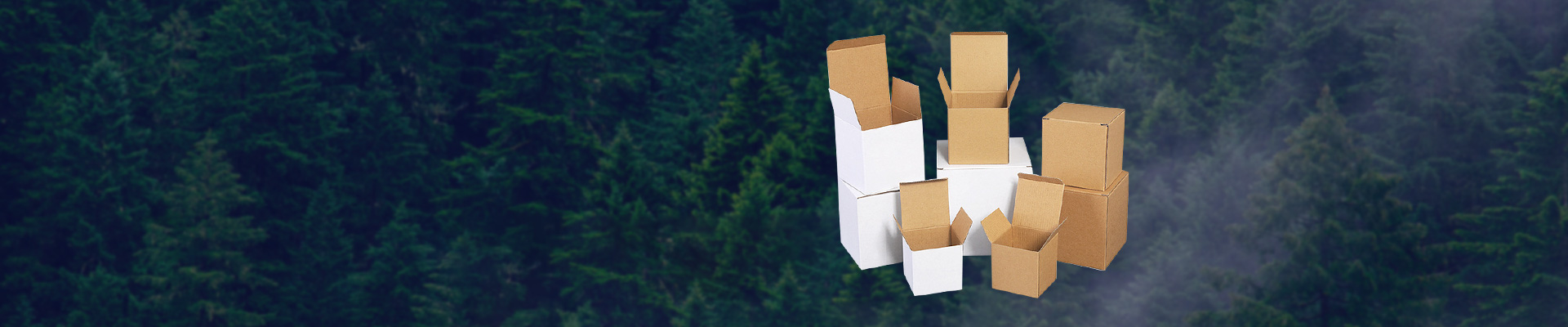 One-Stop<br/> Customization Service